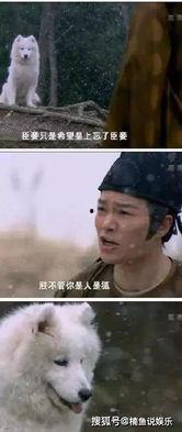 国产剧迷惑行为导演视频,揭秘幕后那些让人哭笑不得的瞬间